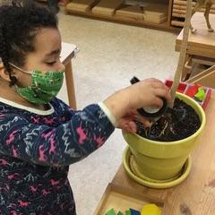Planting plants at Harmony Montessori