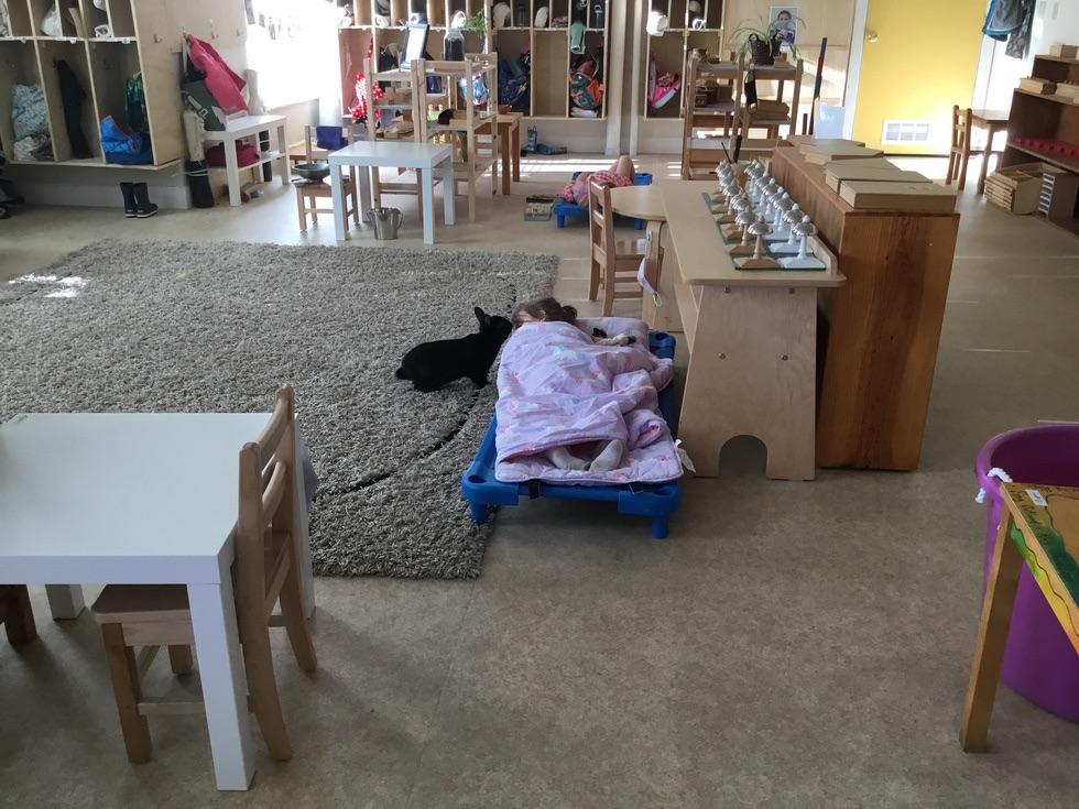 Naptime at Harmony Montessori