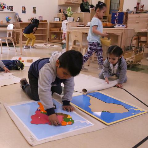 Preschooler plays with puzzle