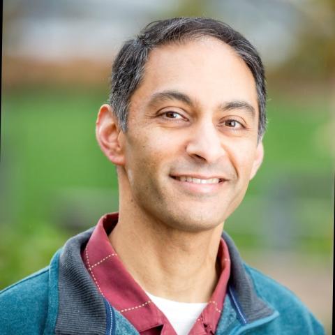 Dahnesh Medora smiling portrait wearing a blue sweater and purple button up.